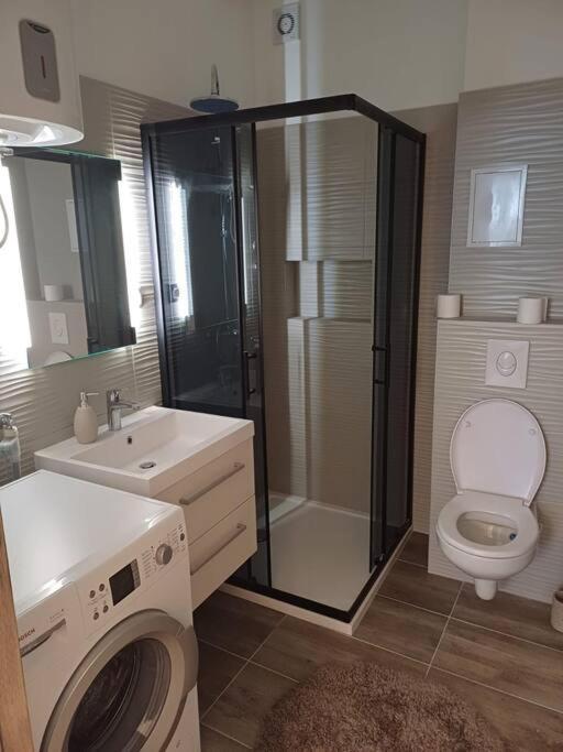 Central Vita Apartment Rijeka Bagian luar foto