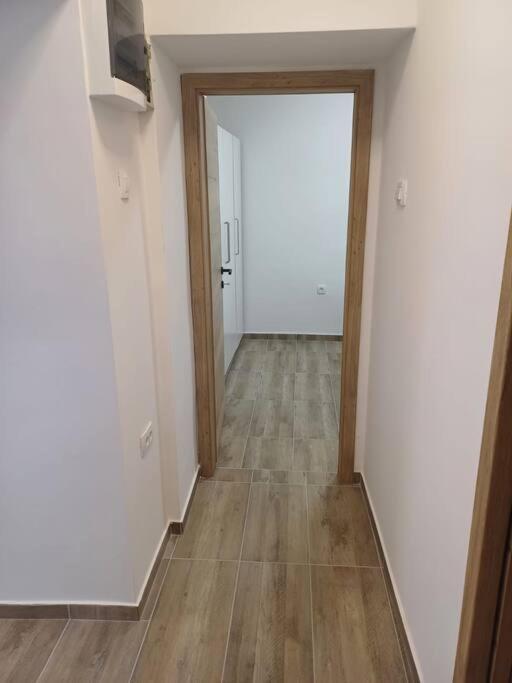 Central Vita Apartment Rijeka Bagian luar foto