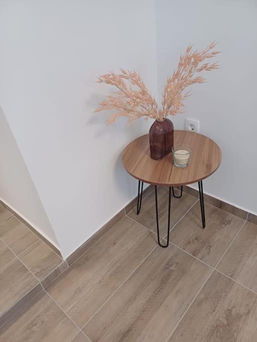 Central Vita Apartment Rijeka Bagian luar foto